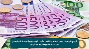 تراجع قياسي.. سعر اليورو ينخفض بشكل غير مسبوق مقابل الجنيه في البنوك المصرية اليوم الخميس